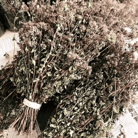 Xiangru Sprig - Image 2