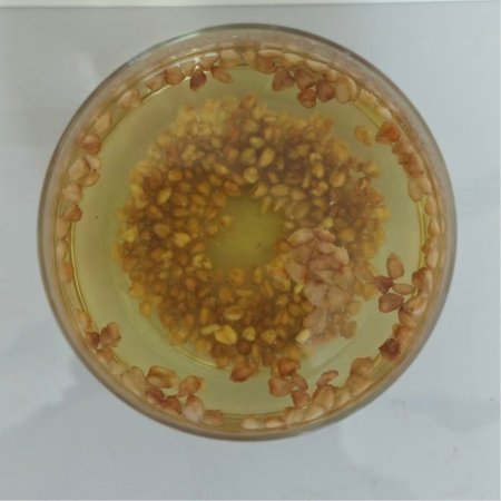 Nutty Tartary Buckwheat - Image 5