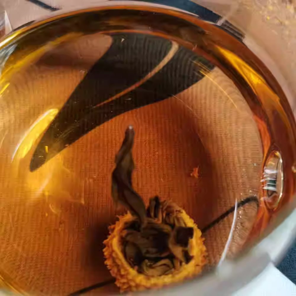 A clean shot of a whole Chestnut Rose fruit brewing in a clear glass jar, showing a pale yellow, translucent tea liquor.