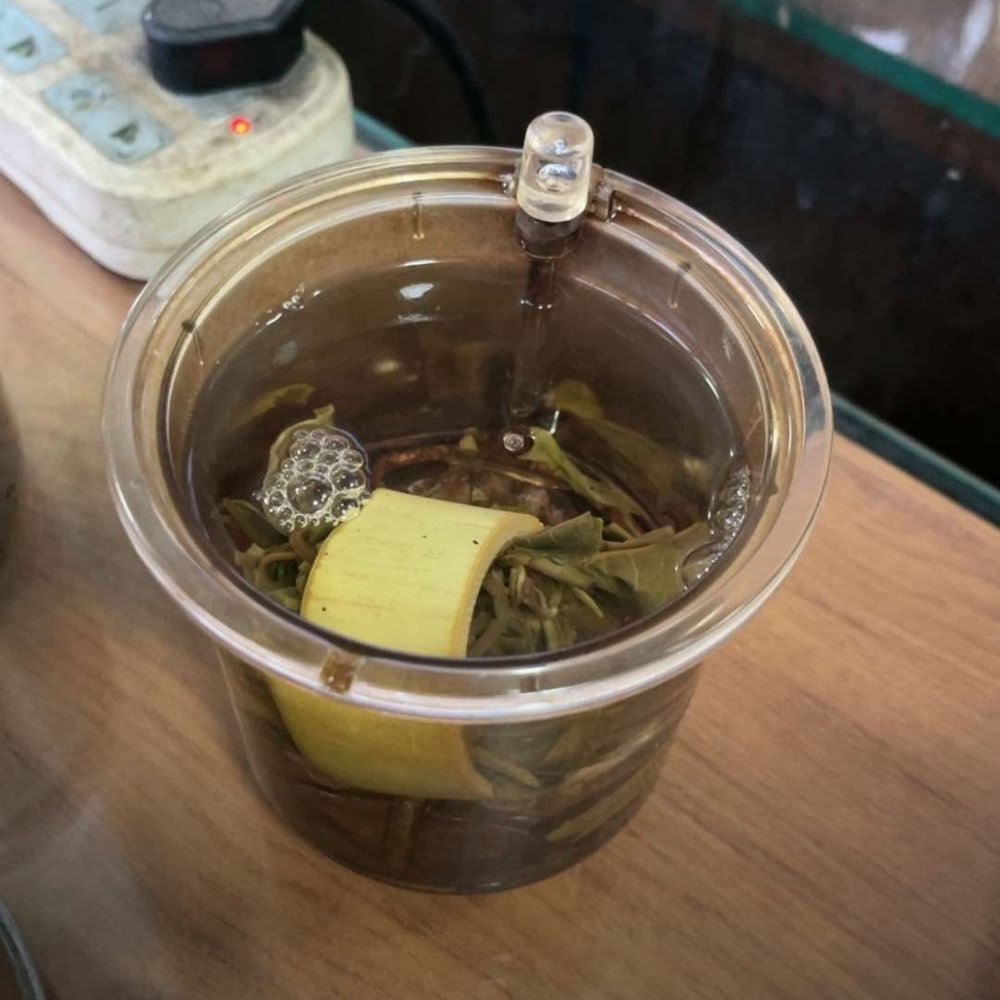 A customer review photo of a bamboo tea tube effortlessly brewing in a clear glass mug on an office desk.